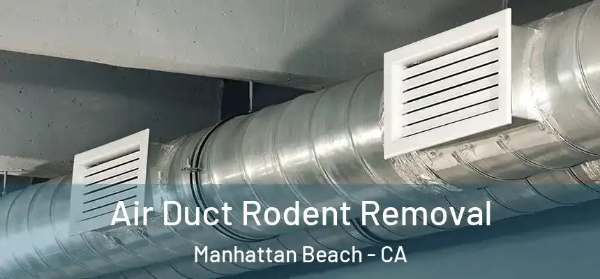  Air Duct Rodent Removal Manhattan Beach - CA