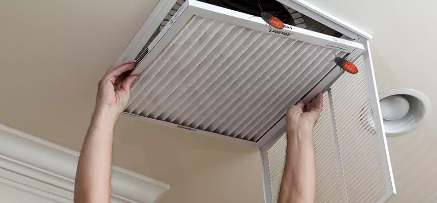 Preventive Cockroach-Proofing for Ducts in Manhattan Beach