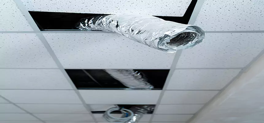 Affordable HVAC Sanitizing After Pest Removal in Manhattan Beach