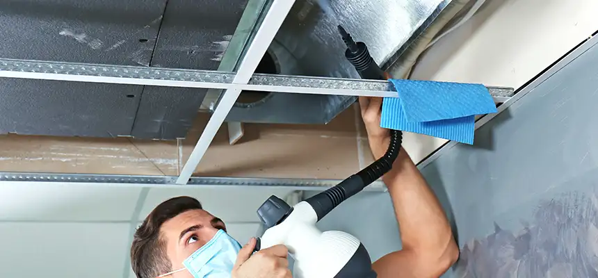 Our Air Duct Rodent Removal Services in Manhattan Beach, CA