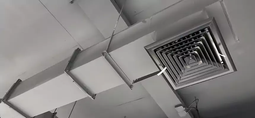 Our Rodent Droppings In Vents Services in Manhattan Beach, CA