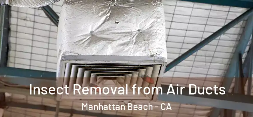  Insect Removal from Air Ducts Manhattan Beach - CA