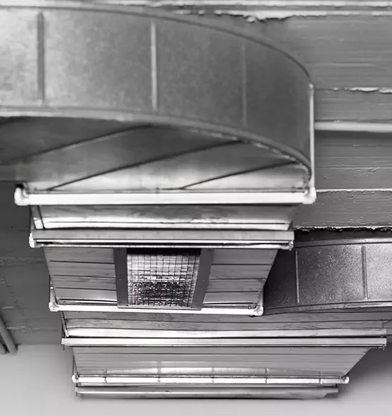 Professional Air Duct Pet Hair Removal in Manhattan Beach, CA