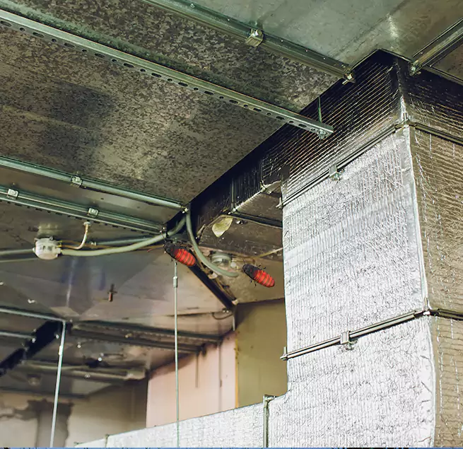 Why Homeowners & Businesses Trust Us in Manhattan Beach, CA?