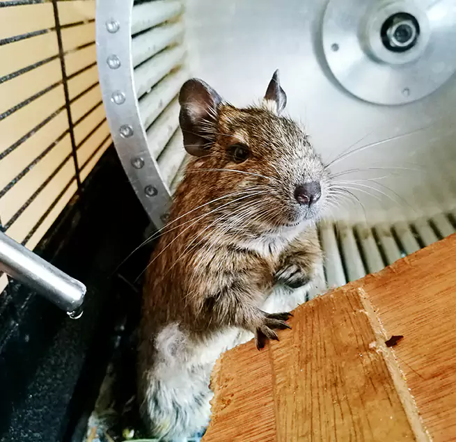 Why Homeowners & Businesses Trust Us Manhattan Beach, CA?