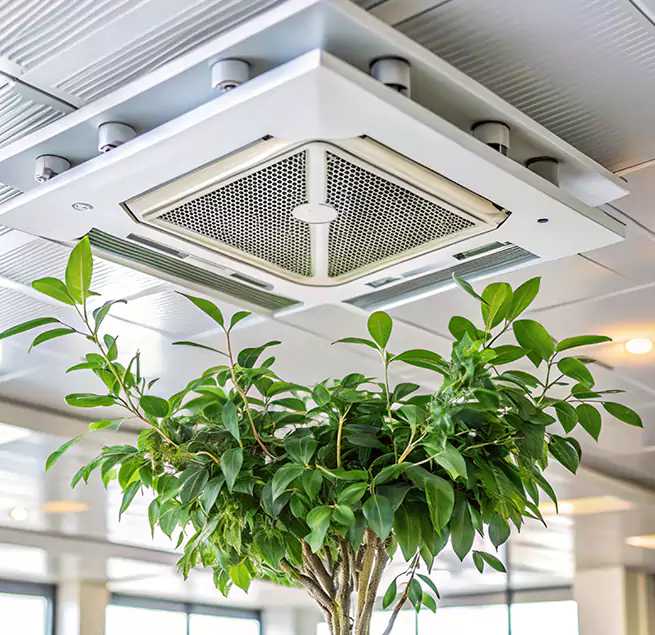 Why Homeowners & Businesses Trust Us in Manhattan Beach, CA?