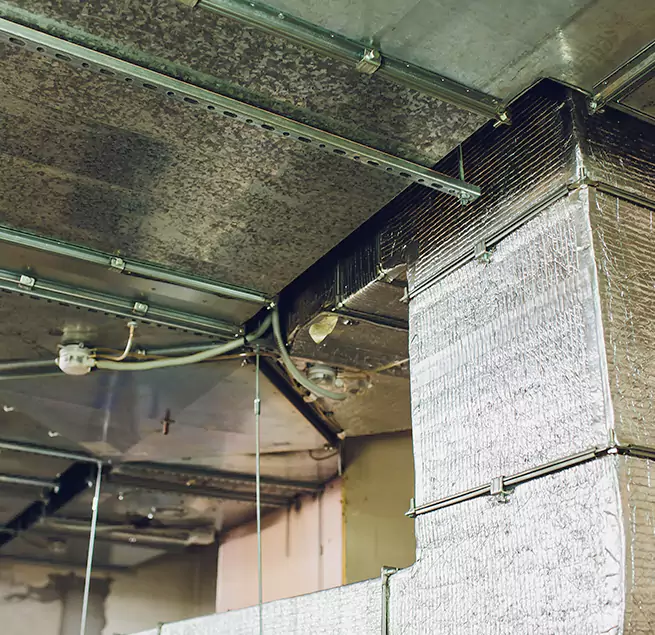 Why Homeowners & Businesses Trust Us in Manhattan Beach, CA?